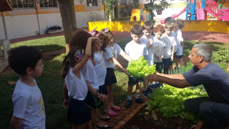 Educação Infantil - Colheita e degustação de alface 6df061e3530c001d53a89307fe1a3717.jpg