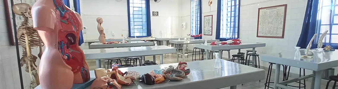 laboratório de anatomia